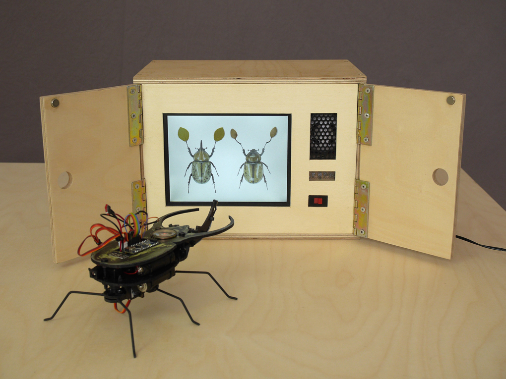 Insect box doors open