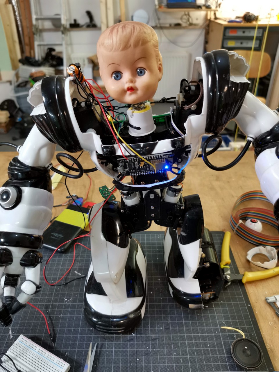 The hacked Robosapiens